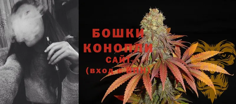 ссылка на мегу маркетплейс  Лесосибирск  Каннабис LSD WEED  цена наркотик 